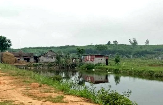 Thông tin từ đường dây nóng